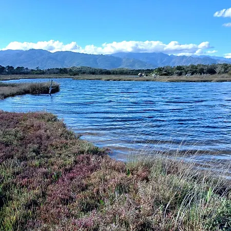 Grande Piscine Dans Hoteliere, Proche Διαμέρισμα