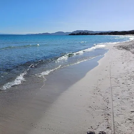 Grande Piscine Dans Hoteliere, Proche * Lecci