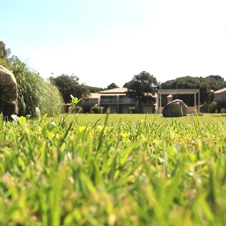 Grande Piscine Dans Hoteliere, Proche Διαμέρισμα Lecci