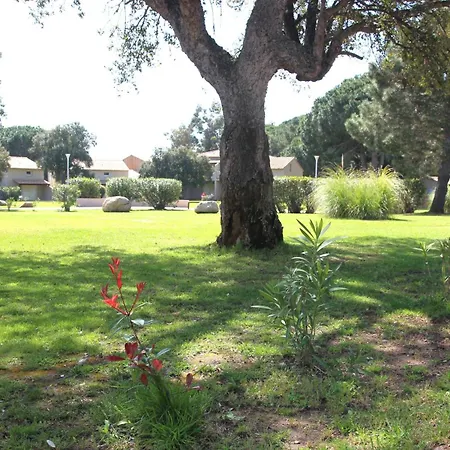 Διαμέρισμα Grande Piscine Dans Hoteliere, Proche Lecci