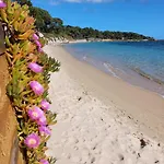 公寓 Studio Allogiu Cupulatta Belle Piscine Proche Plage