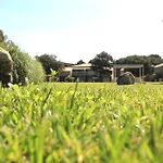Studio Allogiu Cupulatta Belle Piscine Proche Plage 公寓 里奇