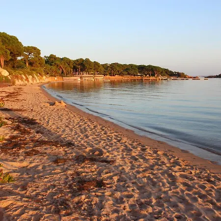 Grande Piscine Dans Hoteliere, Proche * Lecci