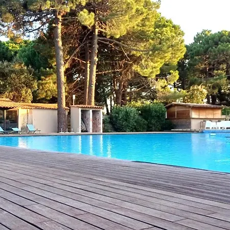 Grande Piscine Dans Hoteliere, Proche